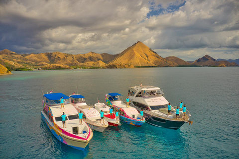 Tour di Komodo di un giorno in motoscafoTour completo di un giorno a Komodo in motoscafo