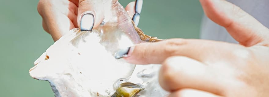 Phuket : visite d'une demi-journée à la ferme d'Intara et à l'usine de perles, avec déjeuner