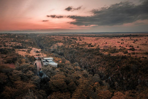 Nairobi: Day Trip to Kitengela Glass and Sculpture Studio