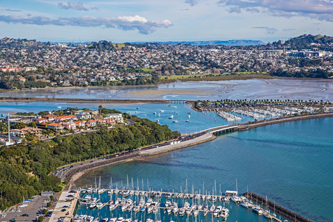 Auckland: City tour com prova de vinhos e praia de areia preta