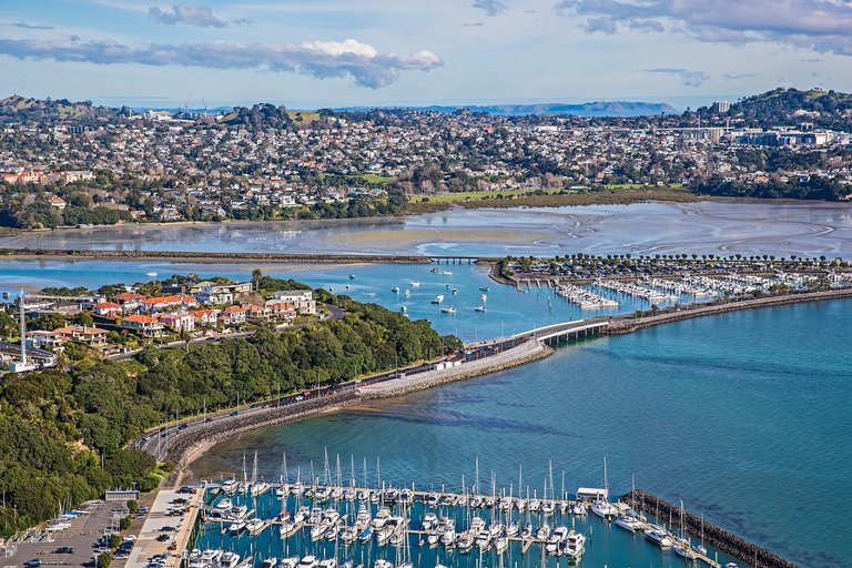 Auckland: Tour de la ciudad con cata de vinos y playa de arena negra