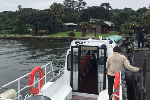Ngamba Island Chimpanzee, Entebbe and Victoria Tour
