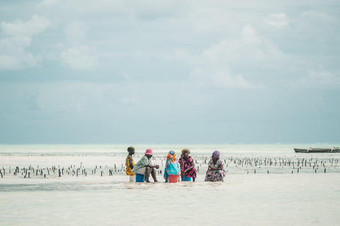 Zanzibar: A 1000 Hands Village Tour with Turtle or seaweed