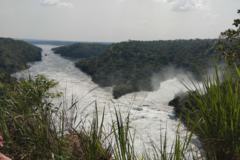 Parco delle Cascate Murchison: Safari di 3 giorni con il Santuario dei Rinoceronti di Ziwa