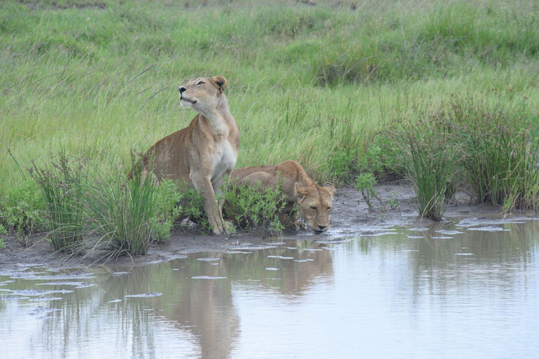 3-Day Safari to Serengeti and Ngorongoro Crater