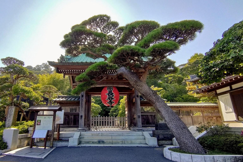 Tokyo: City Full-Day Private Customizable Best Places Tour
