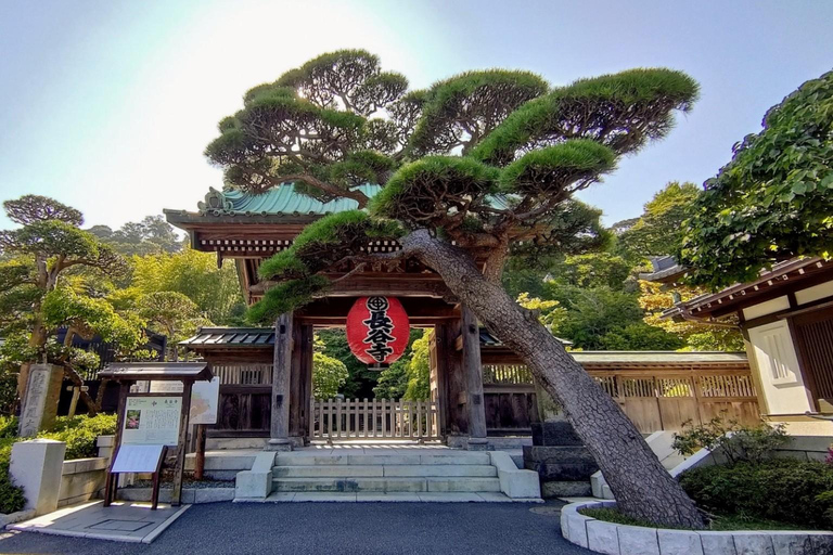 Tokyo: City Full-Day Private Customizable Best Places Tour
