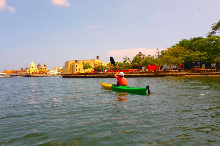 Cartagena: Kajaktur med guide och havsutsikt
