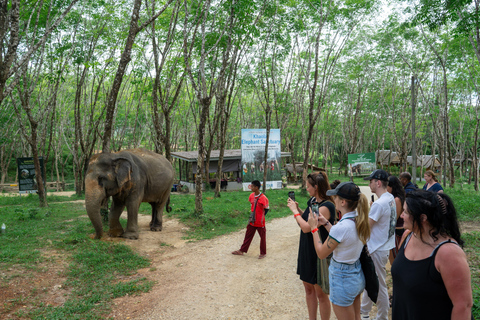 Khao Lak’s Best: Elephant Sanctuary,Rubber Tapping&Waterfall Khaolak Elephant Sanctuary Guided Tour with Hotel Transfers