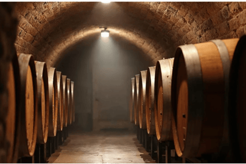 Chania: Cretan Flavors – Wine, Oil, Honey & Cheese Tasting From Kalyves/Almyrida: Authentic Cretan Flavours
