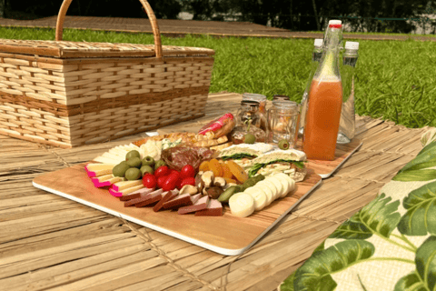 From Foz do Iguaçu: Picnic at Iguazu Falls