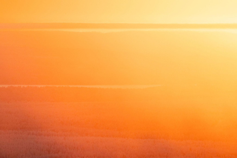 Rovaniemi: Riisitunturi Snow Monsters Tour & Campfire BBQ