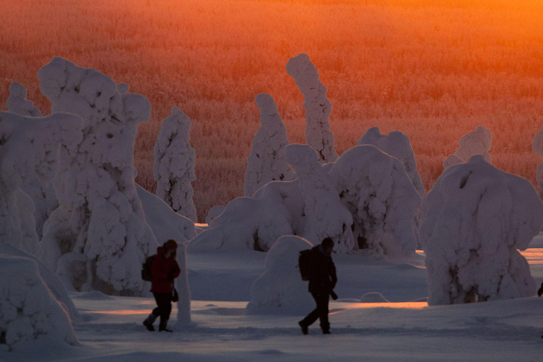 Rovaniemi: Riisitunturi Snow Monsters Tour & Campfire BBQ