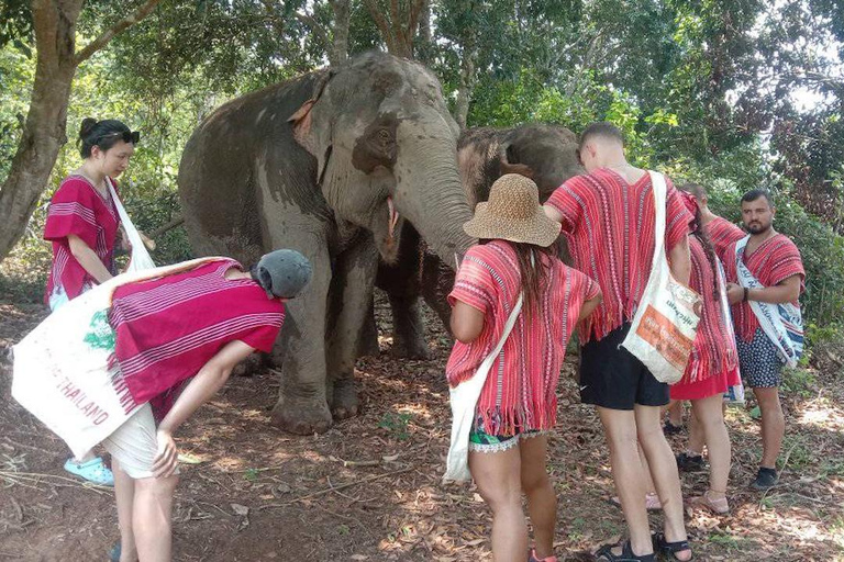 The Must-Do: Authentic Elephant & Village Life in Chiang Mai