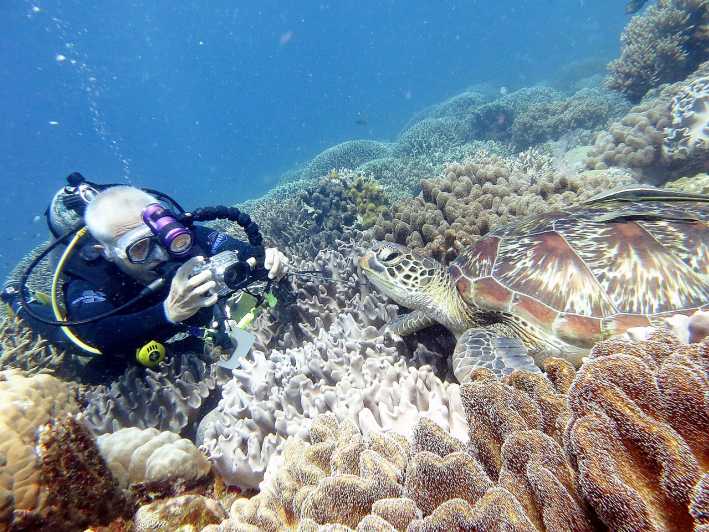Scuba Diving Tours To Daymaniyat Islands.