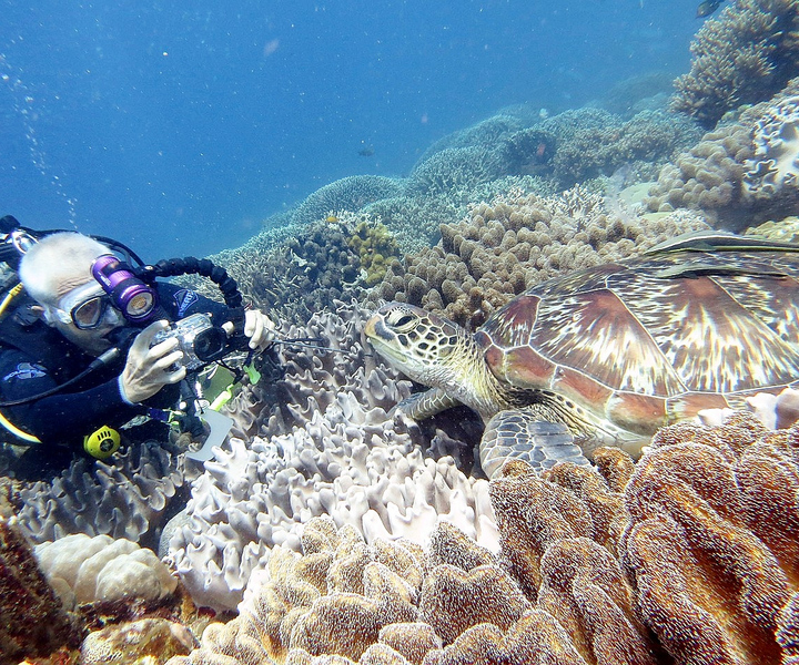 Tour di immersioni subacquee alle isole Daymaniyat.