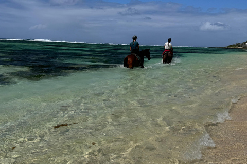 Descubriendo el sur. Paseos a caballo por la playa, excursiones a cascadas.