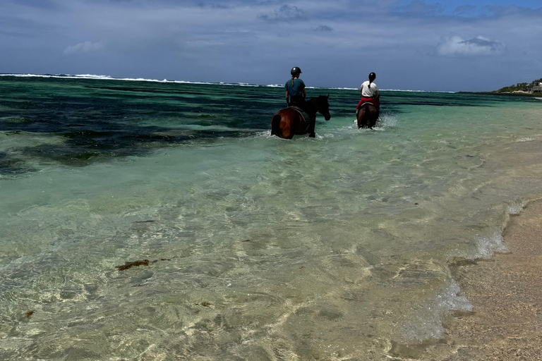 Descubriendo el sur. Paseos a caballo por la playa, excursiones a cascadas.