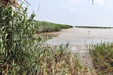 Shirvan Eco-Tour: Gazelles, Birdwatching & Village Lunch Private tour