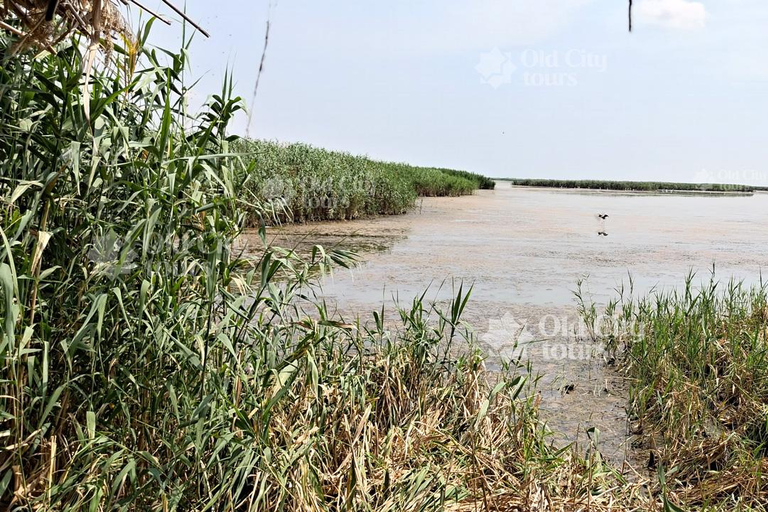 Shirvan Eco-Tour: Gazelles, Birdwatching & Village Lunch Private tour