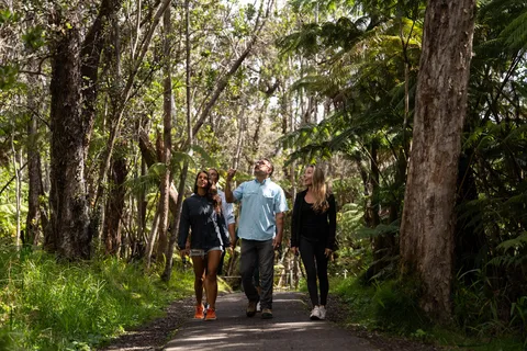 Wild and Scenic Hawaii: Tour delle cascate e delle meraviglie