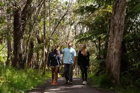 Wild and Scenic Hawaii: Waterfalls and Wonders Tour