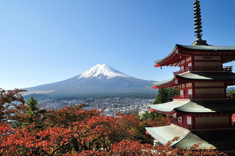 Tokyo: Mt. Fuji Customizable & Private Tour with chauffeur Alphard Minivan