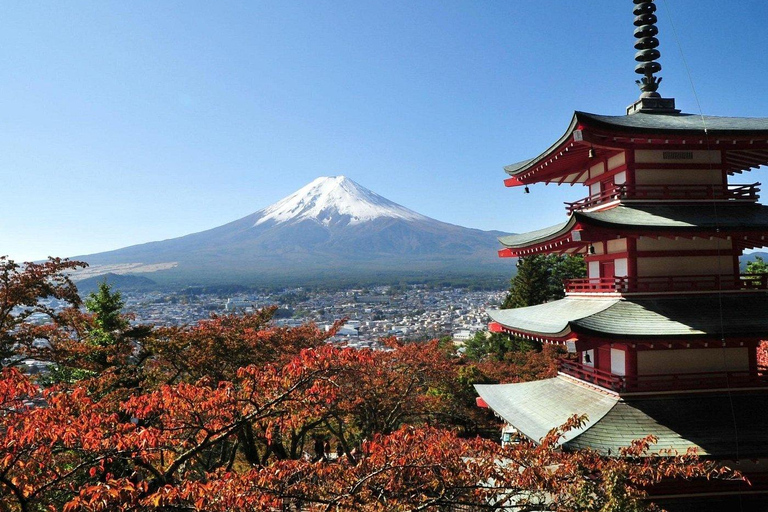 Tokyo: Mt. Fuji Customizable & Private Tour with chauffeur Alphard Minivan