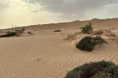 Arabiska 1001 Nätter - Privat tältsafari med övernattning