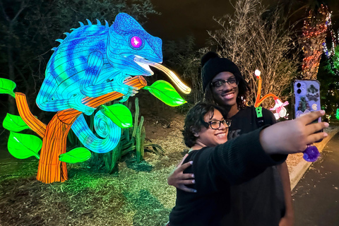 Phoenix: Phoenix ZooLights Entry Ticket