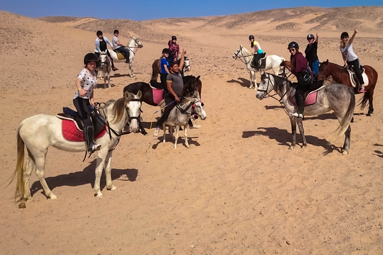 Hurghada: Sunset Sea, Desert Horse W Opt, Dinner, Stargazing Sunrise Hurghada: 4-hour Horse Ride With Swim Stop