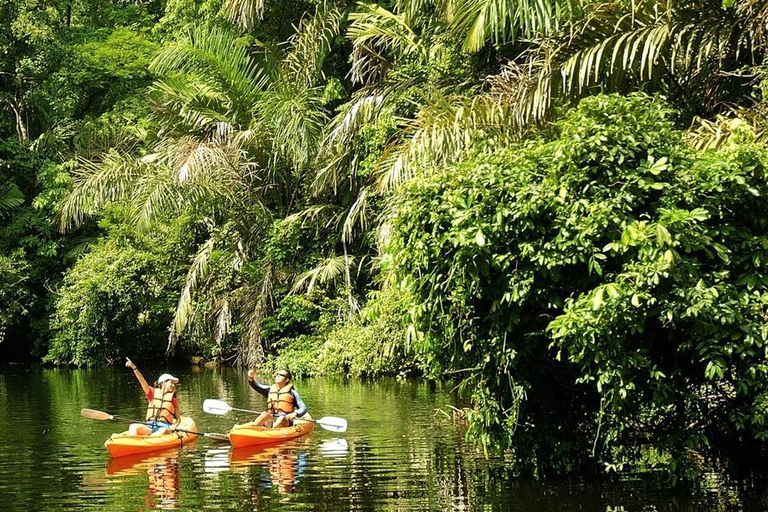 COSTA RICA:UPPTÄCK COSTARICAS VILDA DJUR-STRAND &amp; SKOG 2VECKOR