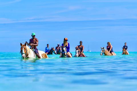 Zanzibar – delfiny, żółwie i konieSafari kajakiem z delfinami i żółwiami