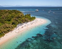 Da Cairns, crociera di mezza giornata di Green Island - Housity