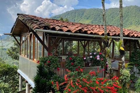 From Medellín: Jardín Coffee tour, optional Horseback Riding