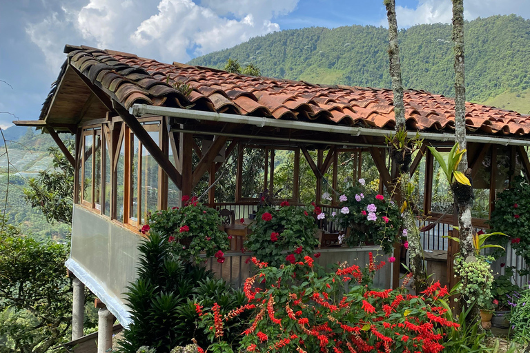 De Medellín: Visita ao café Jardín, passeio a cavalo opcional