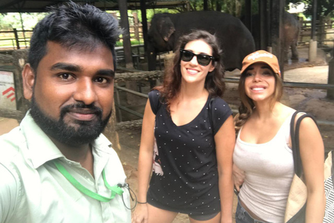 Pinnawala dagtour vanuit Kandy (privétour met lunch)