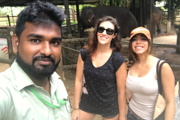 Visite de Pinnawala au départ de Kandy (visite privée avec déjeuner)