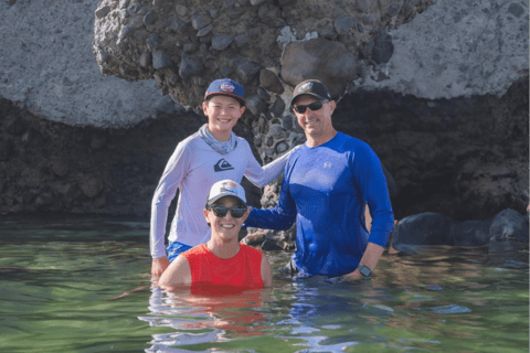 La Paz: Whale Shark, Sea Lions & Balandra Tour