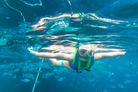 San Antonio: Boottocht voor gezinnen naar Conillera eiland