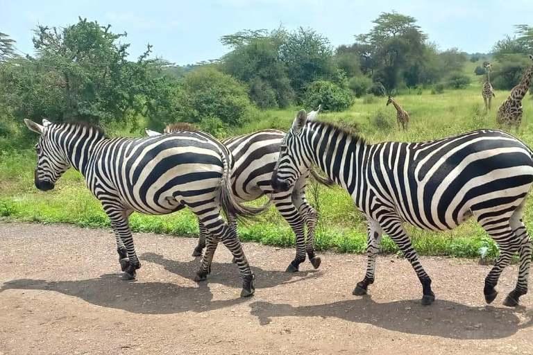 Parc national de Nairobi ; 4 heures de route en voiture dans le seul parc urbain du monde