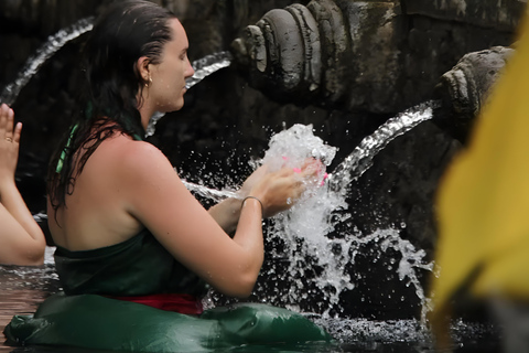 Ubud: Tour privato di templi, cascate e terrazze di risoTour di mezza giornata privato di Ubud 5-6 ore