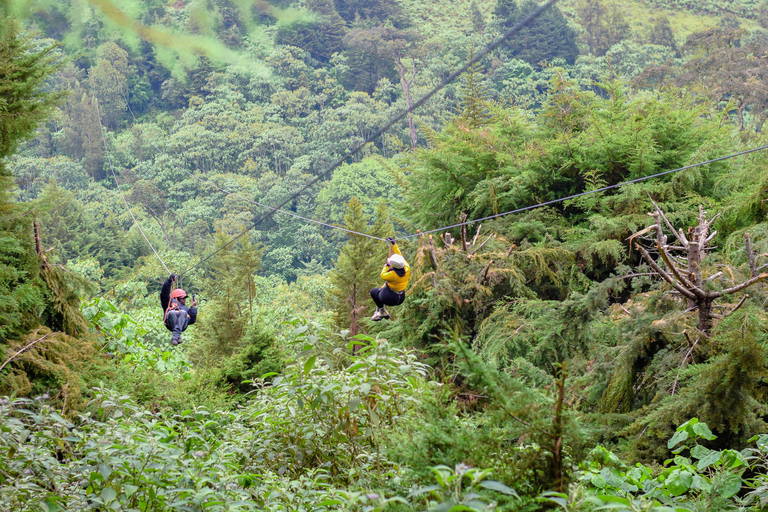 Kenya: la più lunga avventura in zipline in Africa a The Forest.