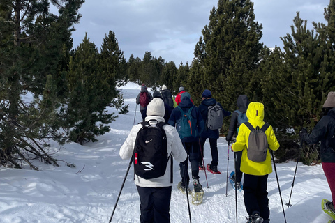 Cerdanya: Snowshoe tour through the forests and lakes of the Pyrenees