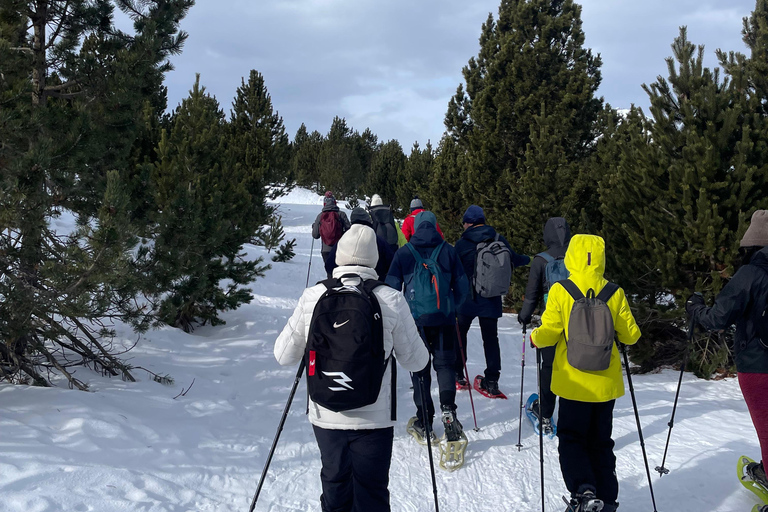 Cerdanya: Snowshoe tour through the forests and lakes of the Pyrenees