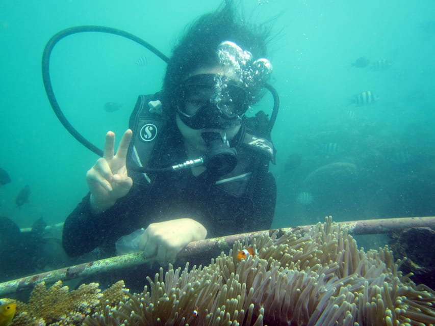 Bali Scuba Diving For Beginner Experience Getyourguide