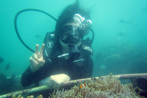 Bali: Scuba Diving For Beginner Experience