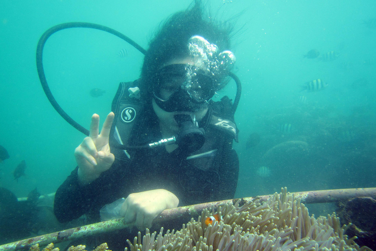 Bali: Scuba Diving For Beginner Experience