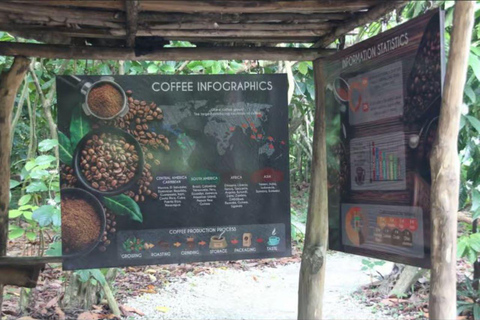 马考、埃尔萨拉多、塞巴和埃尔卡尼奥电动自行车私人探险之旅澳门、埃尔萨拉多、塞巴和埃尔卡诺电动自行车私人探险之旅