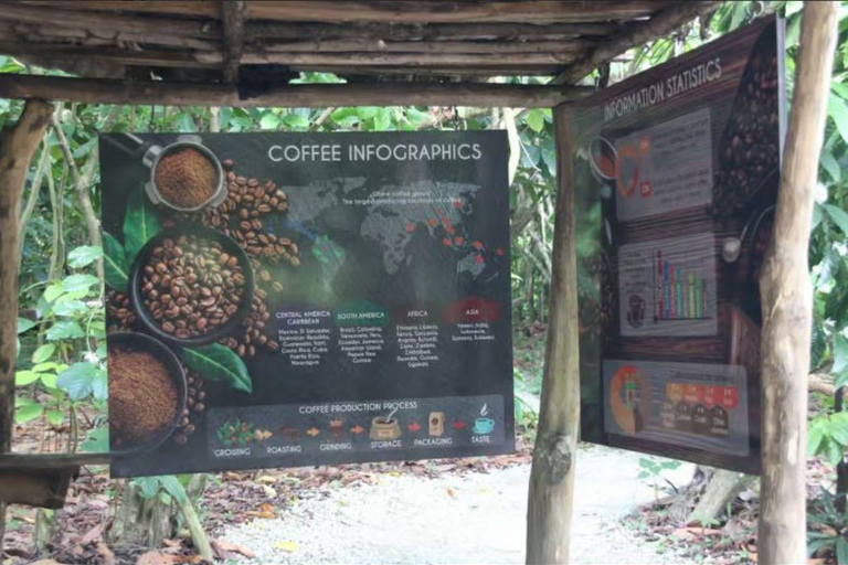 马考、埃尔萨拉多、塞巴和埃尔卡尼奥电动自行车私人探险之旅澳门、埃尔萨拉多、塞巴和埃尔卡诺电动自行车私人探险之旅